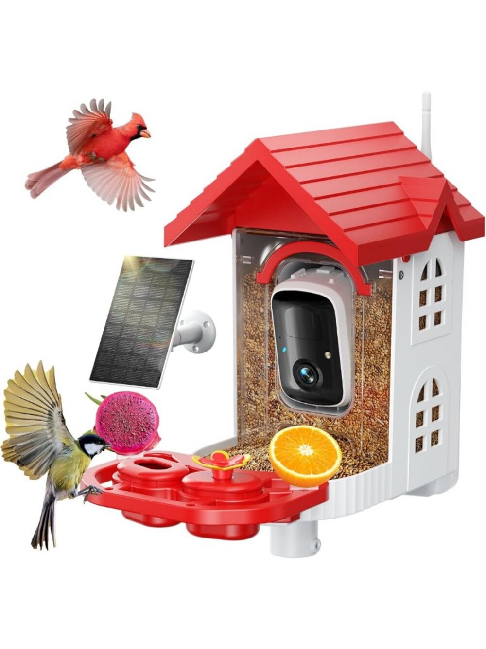 Bird Feeder with Camera, Smart Bird Feeder Camera with AI Identify BirdSpecies